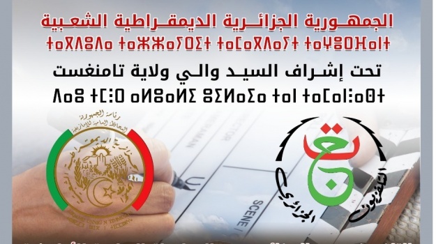 Alɣu n tɣamsa
